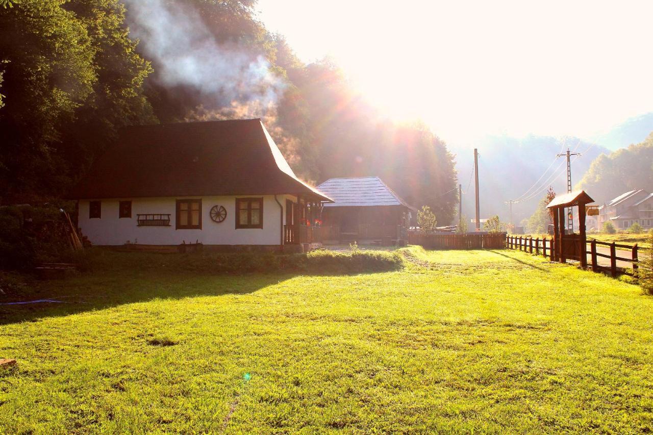 Casuta Din Valea Regilor Villa Gradistea de Munte ภายนอก รูปภาพ