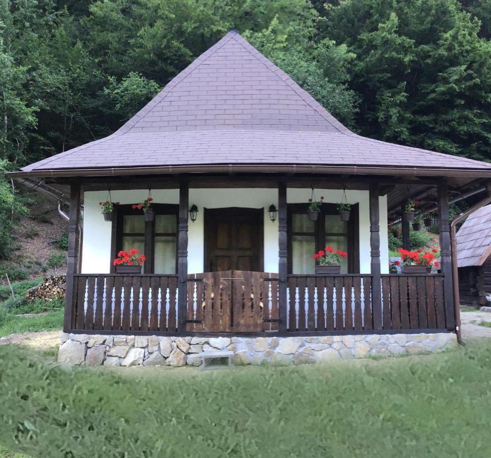Casuta Din Valea Regilor Villa Gradistea de Munte ภายนอก รูปภาพ