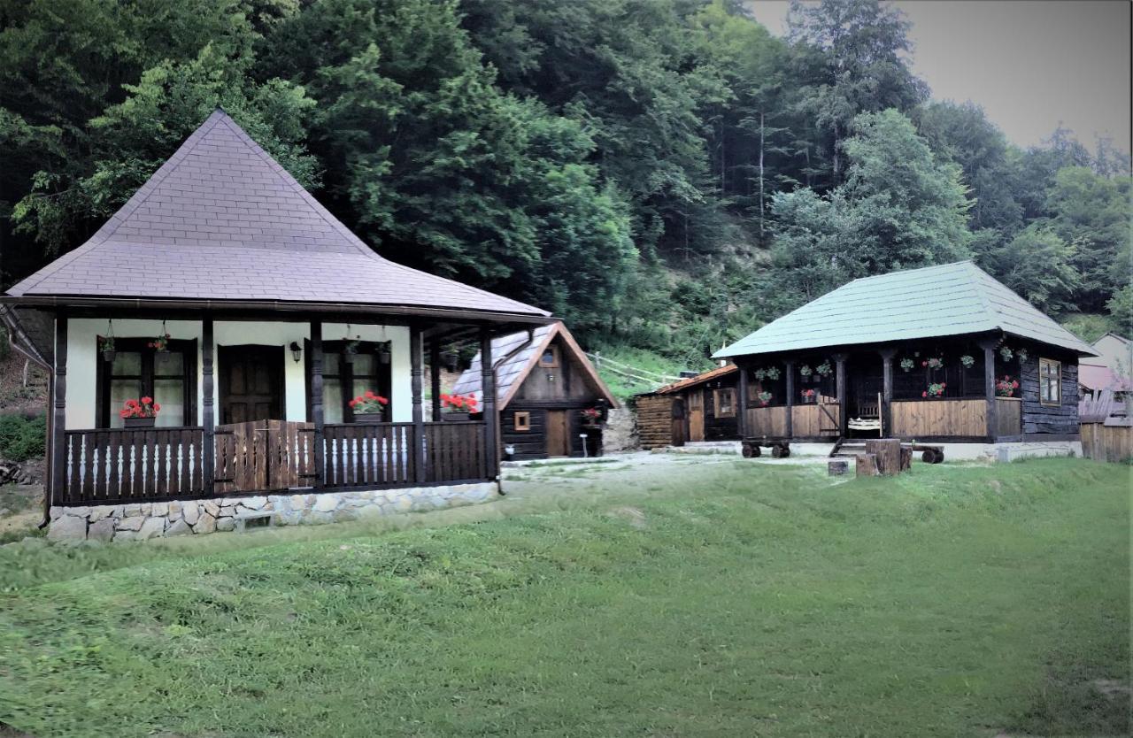 Casuta Din Valea Regilor Villa Gradistea de Munte ภายนอก รูปภาพ
