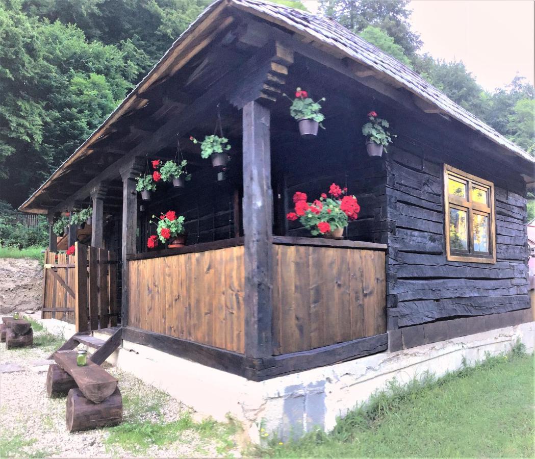 Casuta Din Valea Regilor Villa Gradistea de Munte ภายนอก รูปภาพ