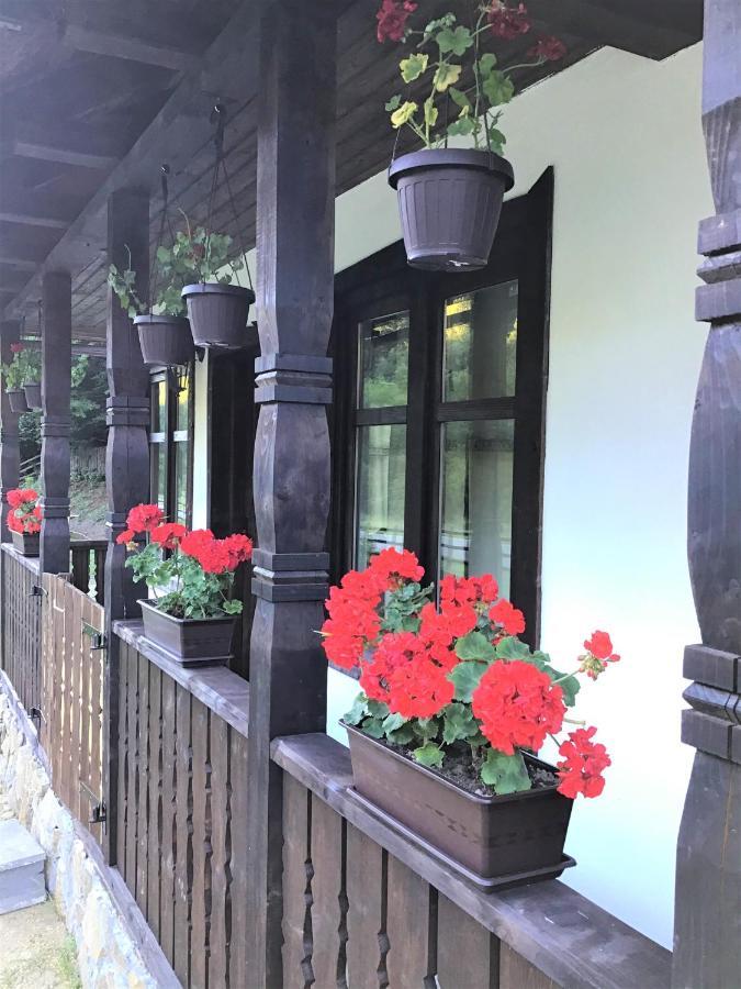 Casuta Din Valea Regilor Villa Gradistea de Munte ภายนอก รูปภาพ