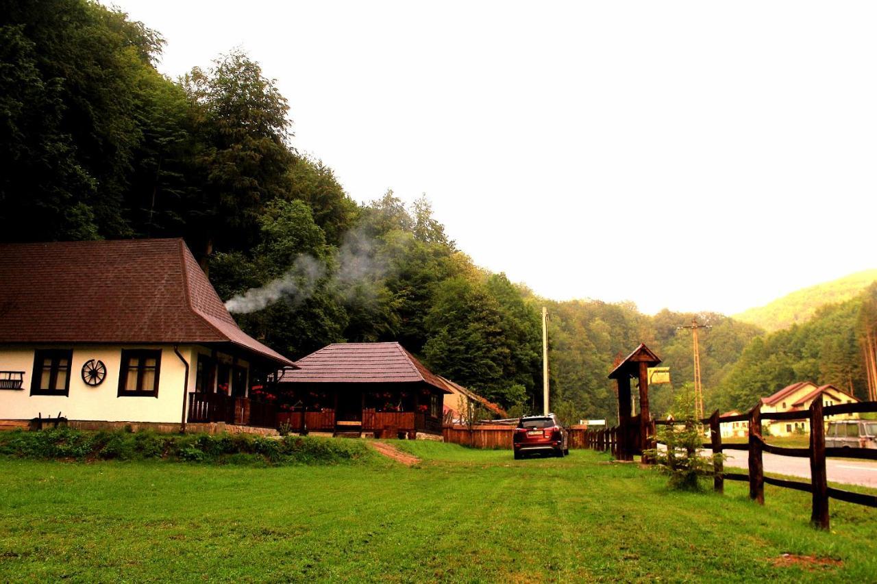 Casuta Din Valea Regilor Villa Gradistea de Munte ภายนอก รูปภาพ