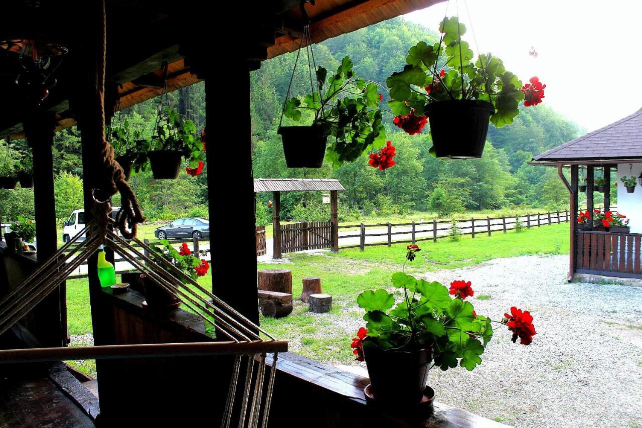 Casuta Din Valea Regilor Villa Gradistea de Munte ภายนอก รูปภาพ