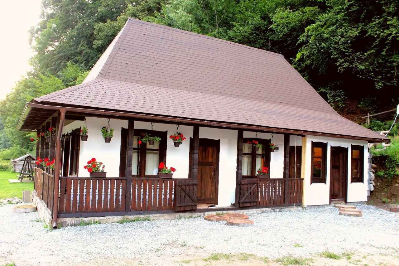 Casuta Din Valea Regilor Villa Gradistea de Munte ภายนอก รูปภาพ