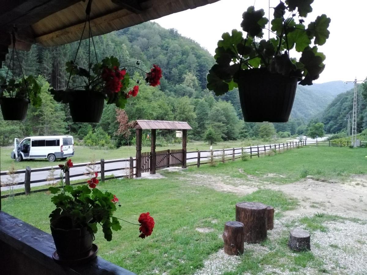 Casuta Din Valea Regilor Villa Gradistea de Munte ภายนอก รูปภาพ