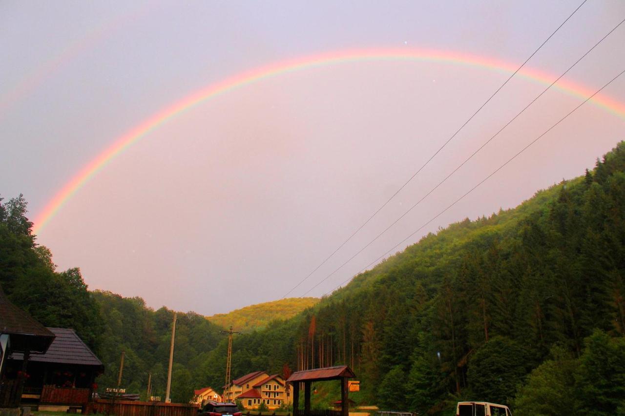 Casuta Din Valea Regilor Villa Gradistea de Munte ภายนอก รูปภาพ