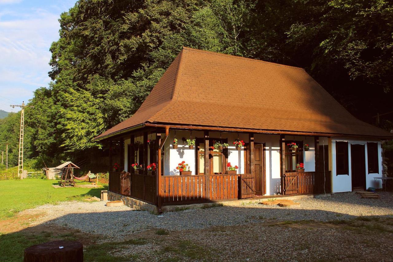 Casuta Din Valea Regilor Villa Gradistea de Munte ภายนอก รูปภาพ