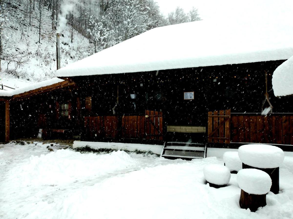 Casuta Din Valea Regilor Villa Gradistea de Munte ภายนอก รูปภาพ
