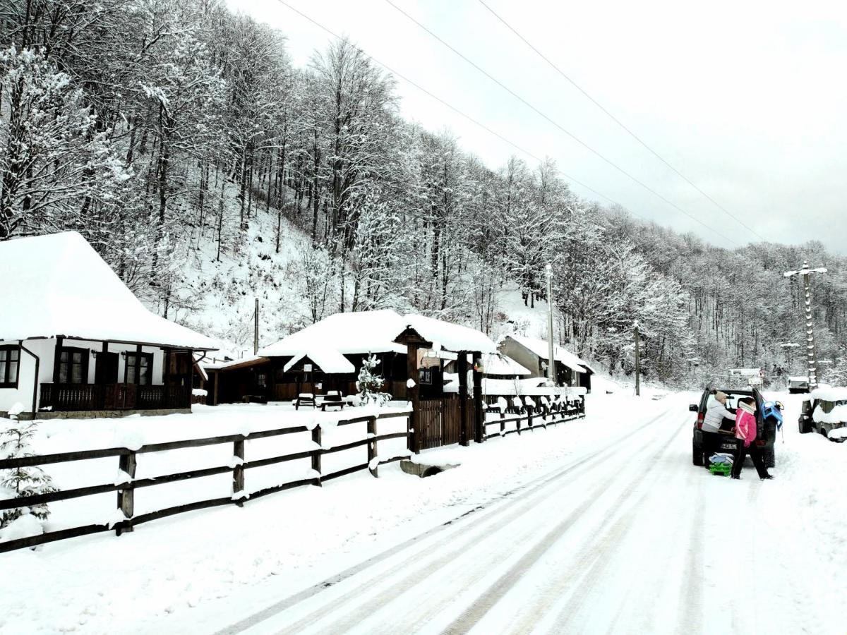Casuta Din Valea Regilor Villa Gradistea de Munte ภายนอก รูปภาพ