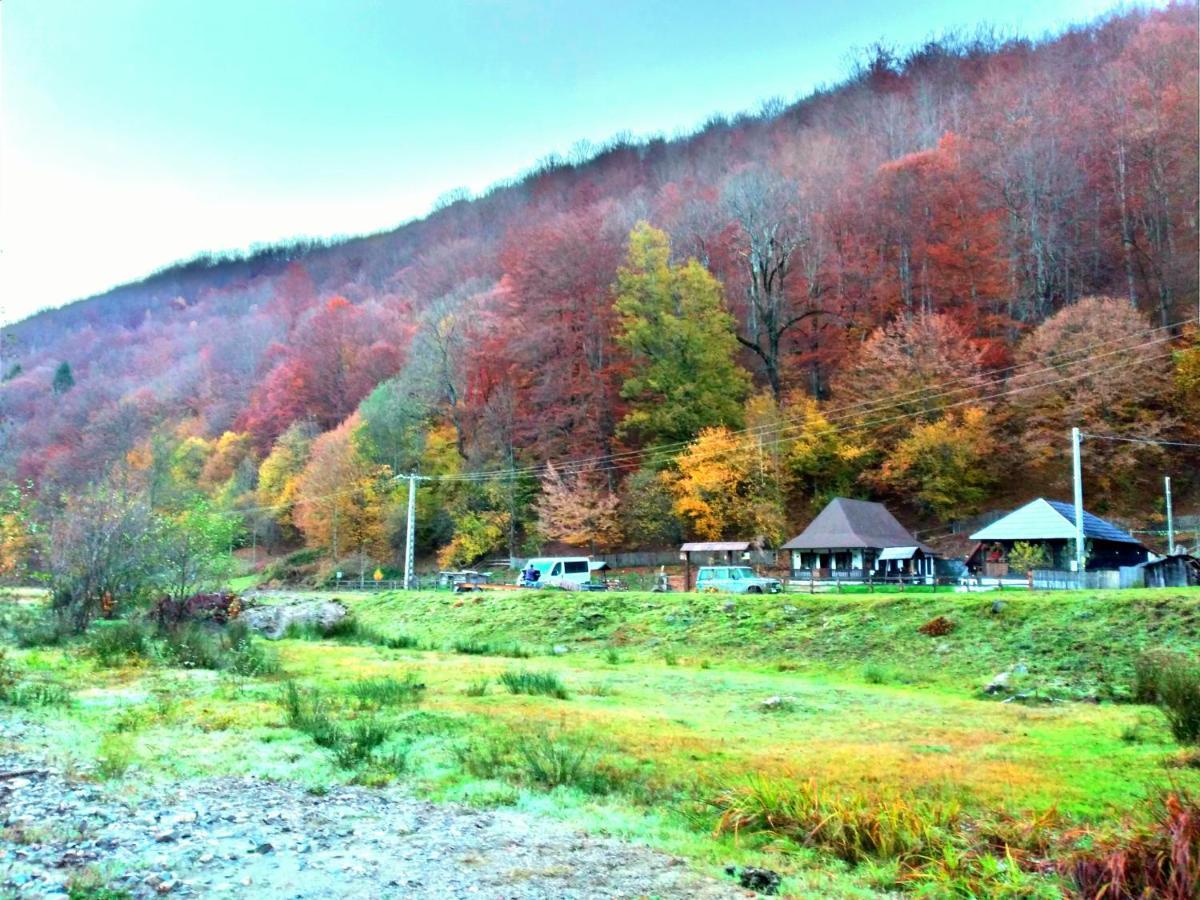 Casuta Din Valea Regilor Villa Gradistea de Munte ภายนอก รูปภาพ