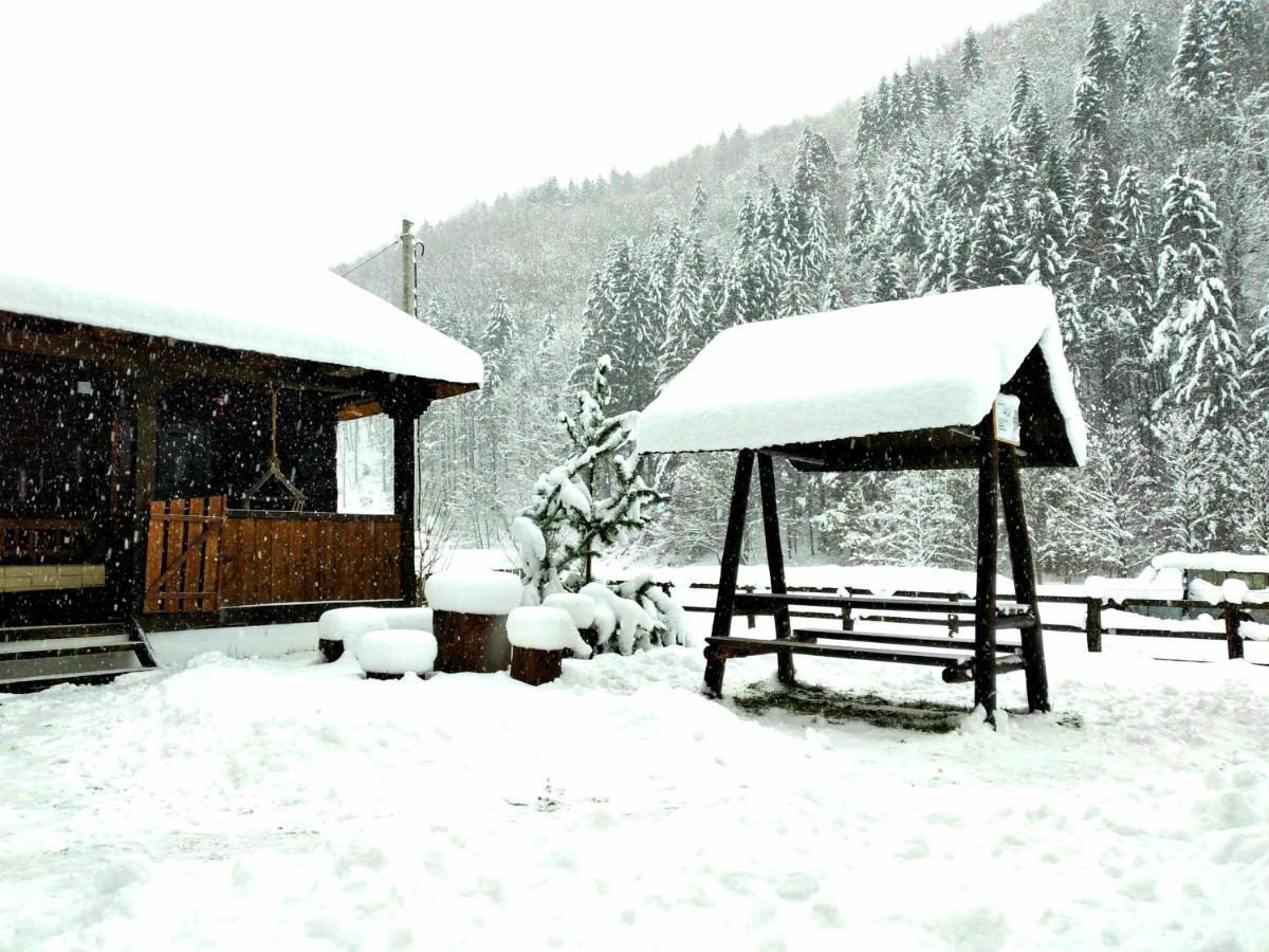Casuta Din Valea Regilor Villa Gradistea de Munte ภายนอก รูปภาพ