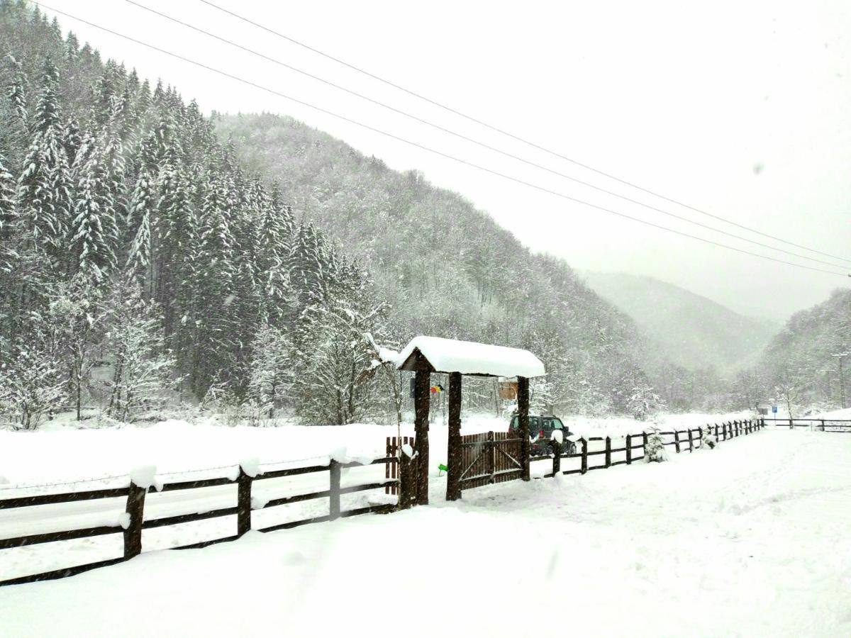 Casuta Din Valea Regilor Villa Gradistea de Munte ภายนอก รูปภาพ
