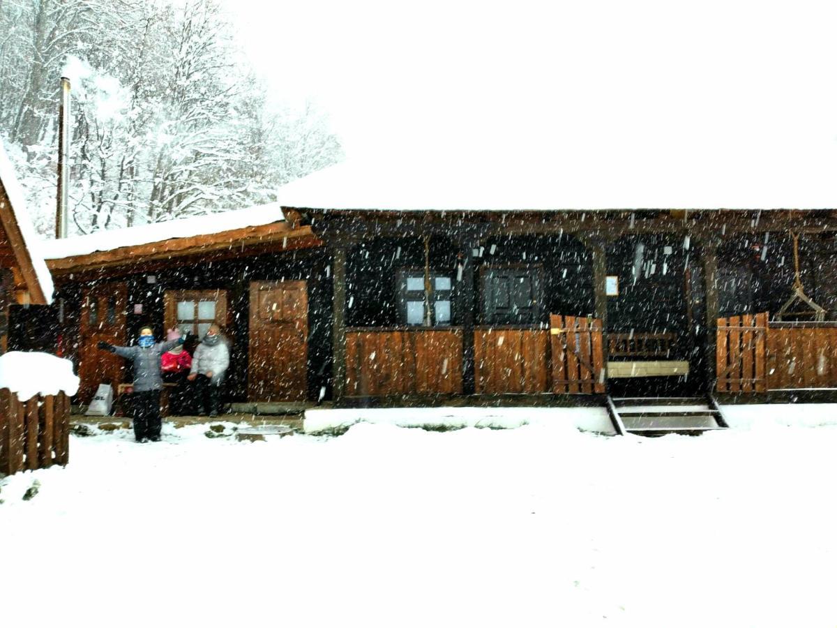 Casuta Din Valea Regilor Villa Gradistea de Munte ภายนอก รูปภาพ