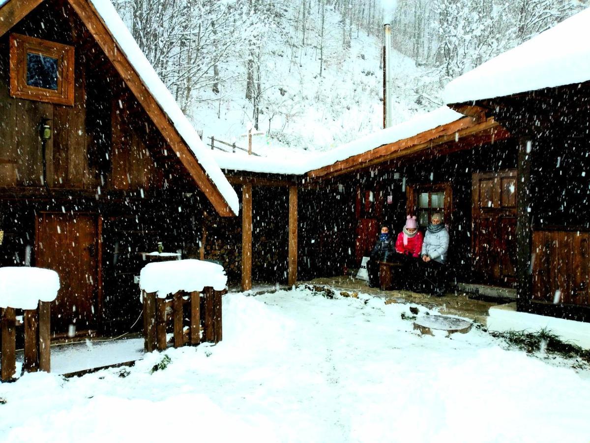 Casuta Din Valea Regilor Villa Gradistea de Munte ภายนอก รูปภาพ